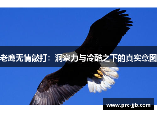 老鹰无情敲打：洞察力与冷酷之下的真实意图